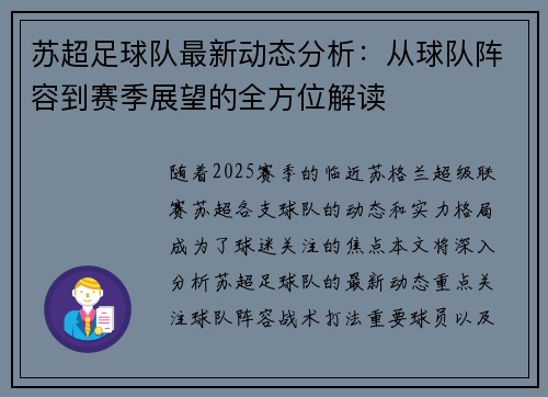 苏超足球队最新动态分析：从球队阵容到赛季展望的全方位解读