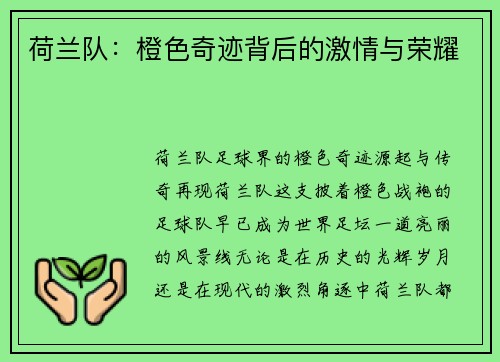 荷兰队：橙色奇迹背后的激情与荣耀